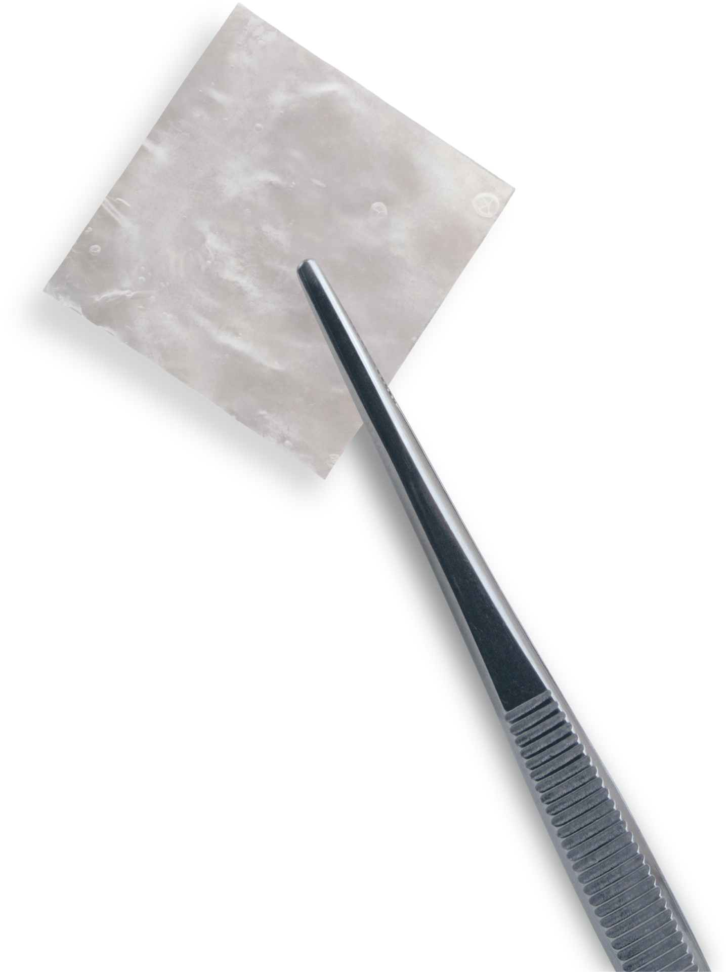Complete ACA™ Allograft - Legacy Medical Consultants