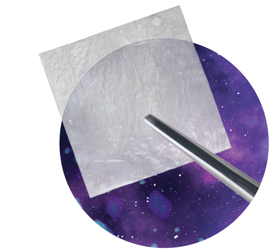 Orion