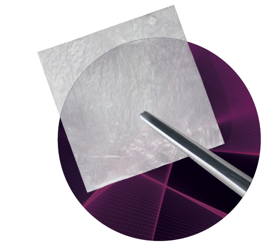 SurGraft FT